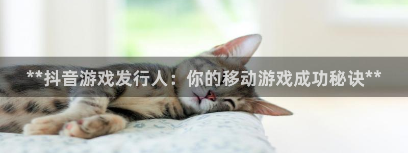 新城平台线路登录不上去了