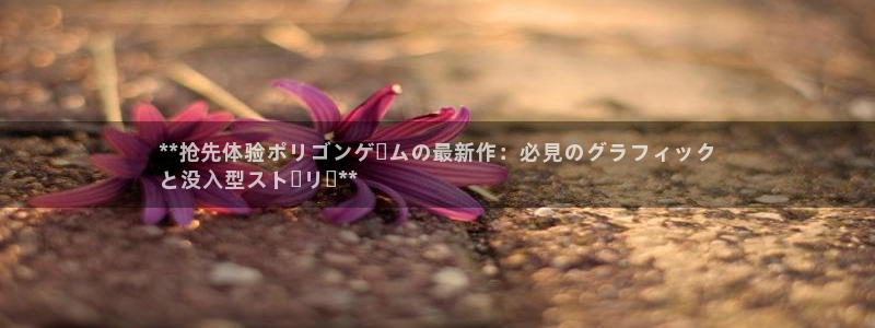 新城平台是干嘛的公司