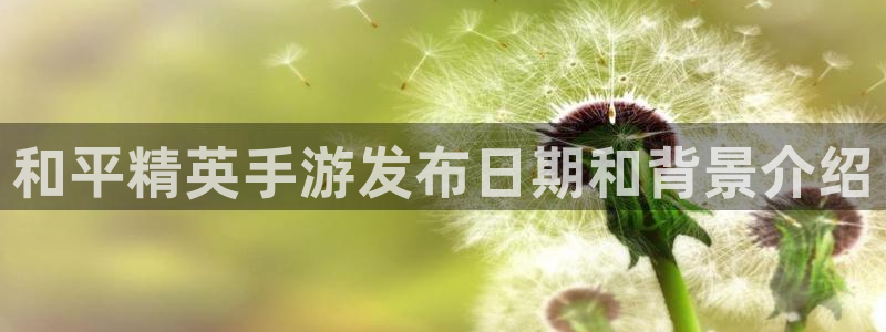 新城平台登录入口官网查询