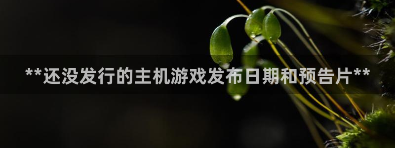 新城平台一新城注册