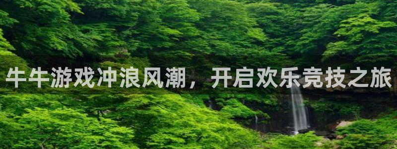 新城平台登录