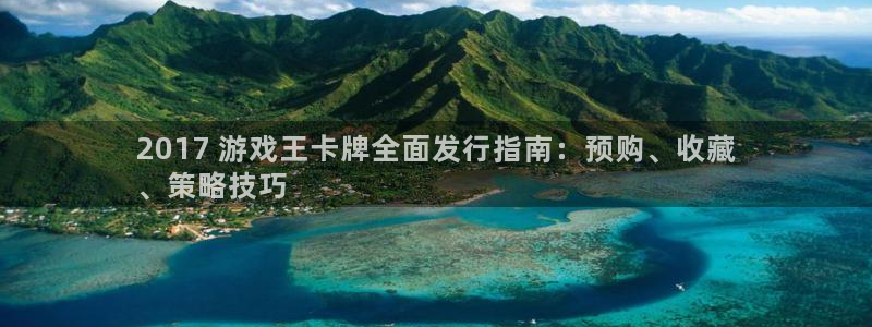 新城平台是干嘛的公司