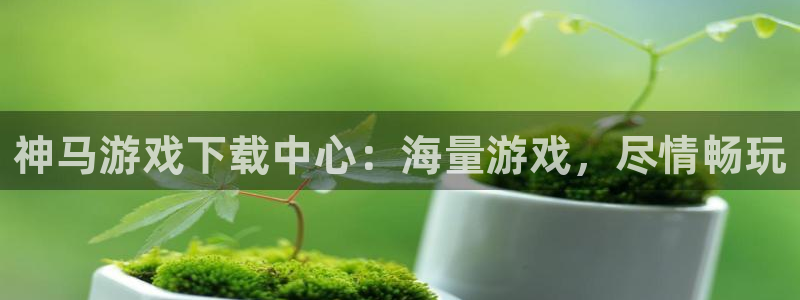 新城平台官网首页登录