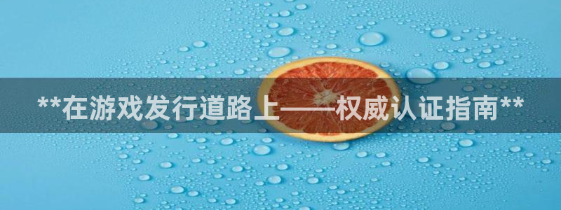 新城平台游戏