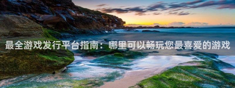 新城平台线路登录不上去怎么回事呀