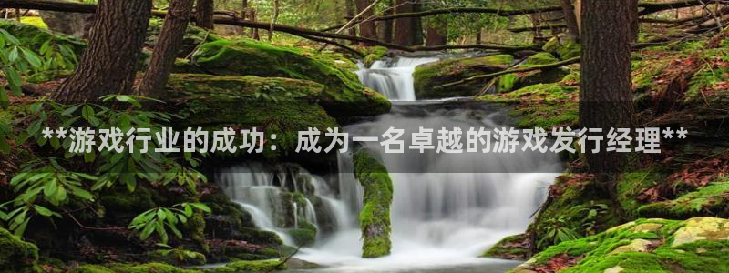 新城平台代理电话