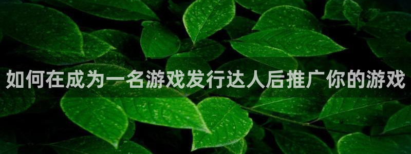 新城平台登录入口官网查询系统