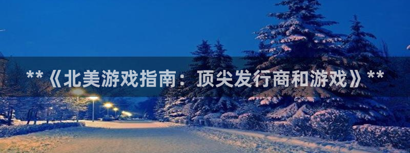 新城平台主管