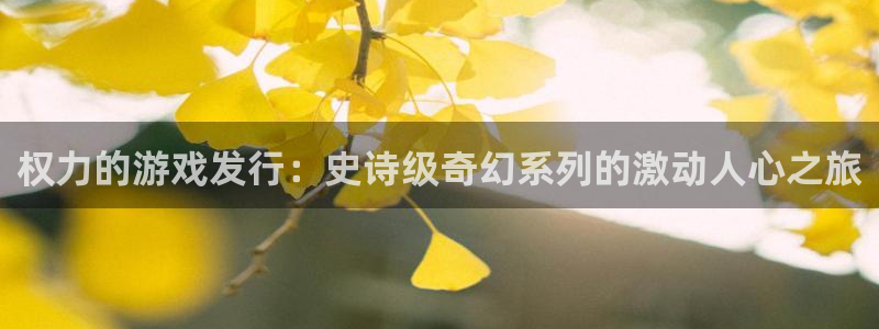 新城平台记7O777