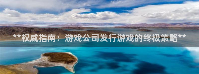 新城平台登录入口官网首页查询