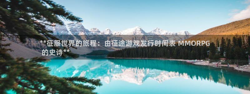 新城平台注册公司流程
