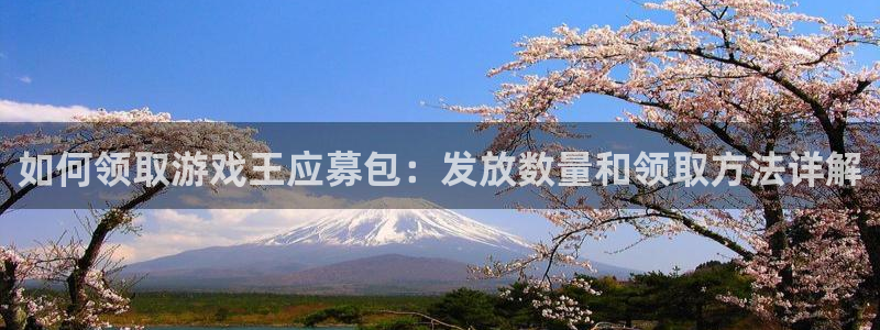 新城平台注册资金多少亿