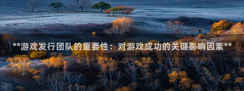 新城平台登录入口网址
