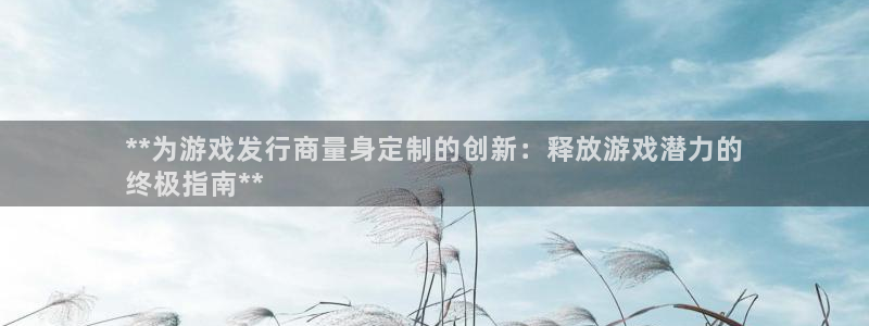 新城平台代理