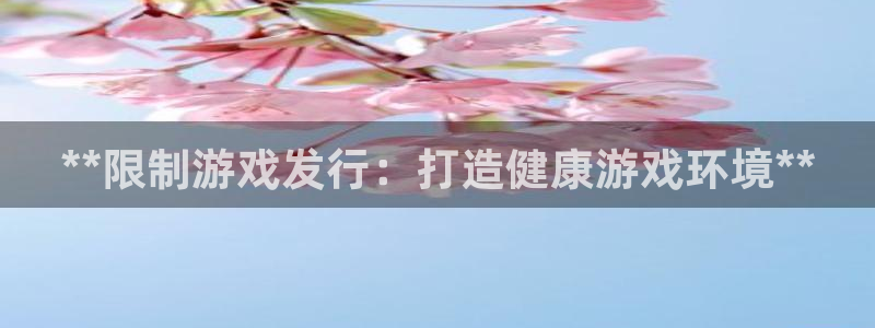 新城平台注册资金多少亿