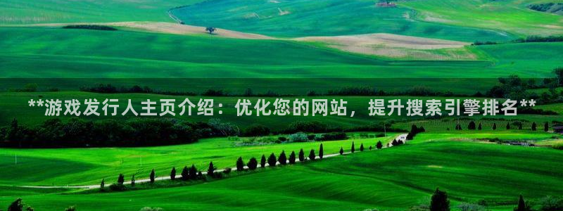 新城平台线路登录不上去