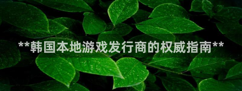 新城平台代理注册