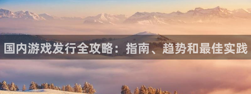 新城平台官网