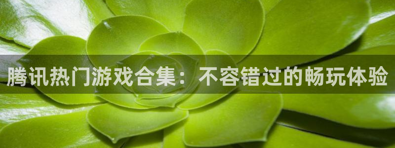 新城平台注册资金多少