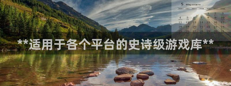 新城平台平台最新活动信息