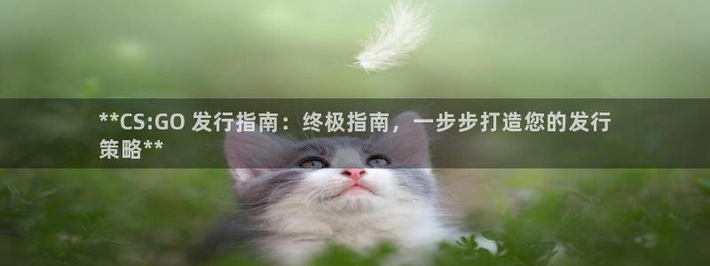 新城平台登录入口官网网址
