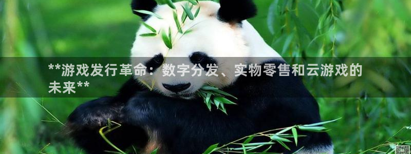 新城平台登录入口官网查询