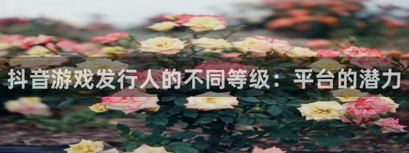 新城平台注册登录地址