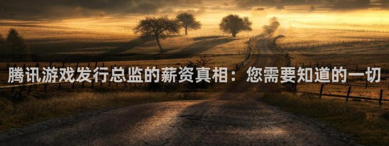 新城平台开户：腾讯游戏发行总监的薪资真相：您需要知道的一切