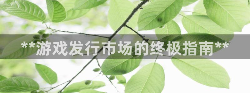 新城平台注册公司流程图：**游戏发行市场的终极指南**
