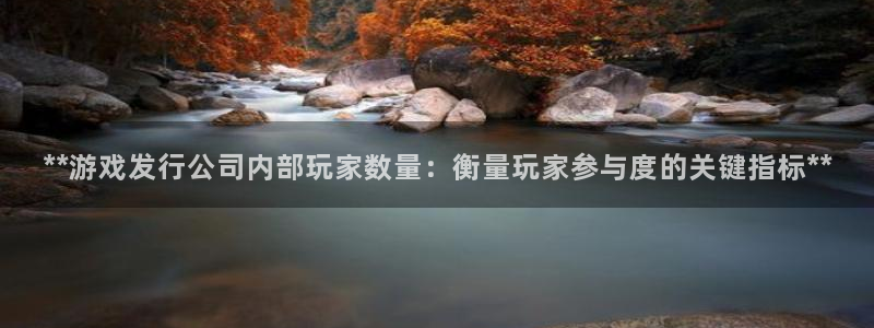 新城平台登录密码忘了怎么找回：**游戏发行公司内部玩家数量：衡量玩家参与度的关键指标**