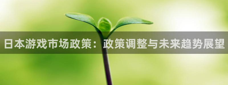 新城平台代理怎么样