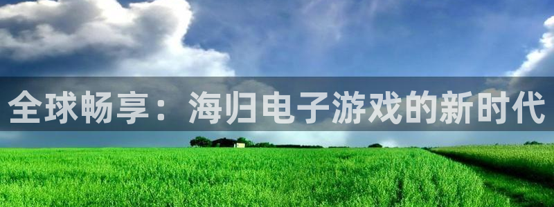 新城平台登录入口官网查询系统