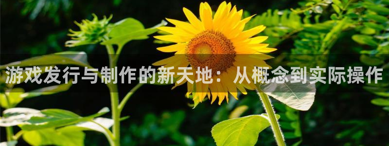 新城平台计7O777