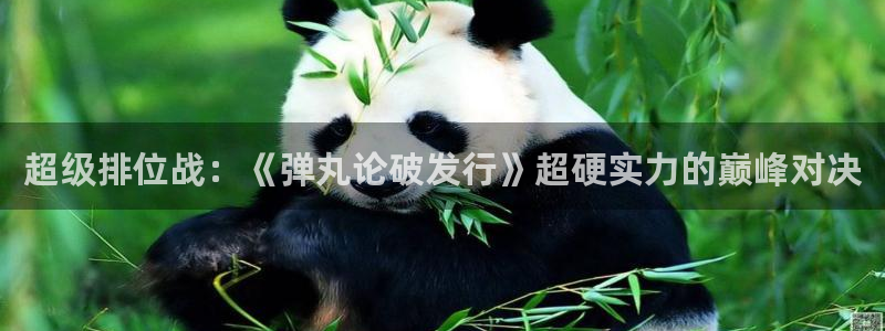 新城平台平台最新活动有哪些