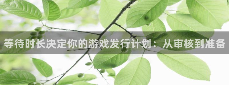 新城平台登录入口官网首页下载
