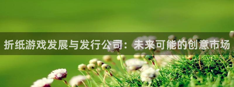 新城平台注册公司流程视频