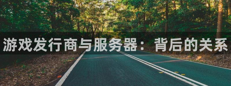 新城平台是正规平台吗：游戏发行商与服务器：背后的关系