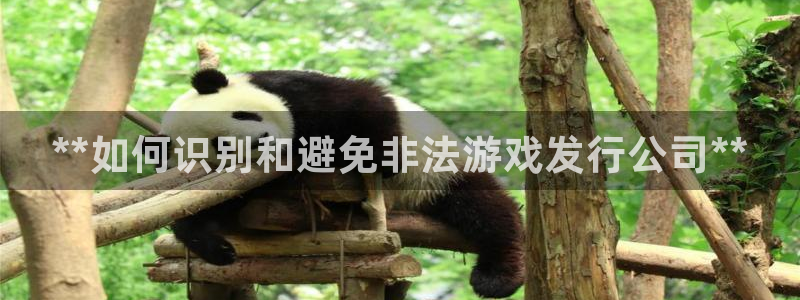 新城平台入.新城平台.全国联网是什么意思：**如何识别和避免非法游戏发行公司**