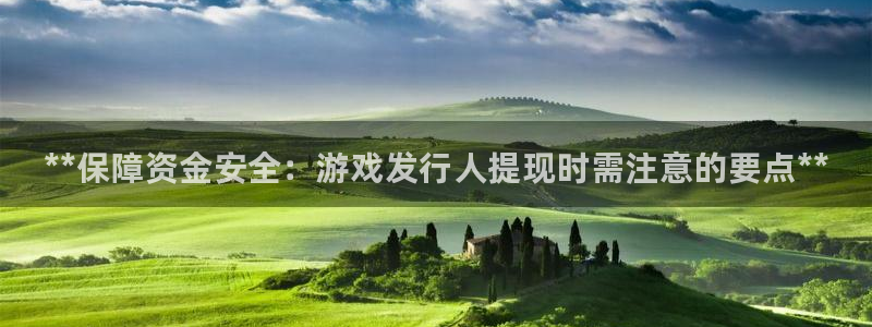新城平台注册公司流程及费用：**保障资金安全：游戏发行人提现时需注意的要点**