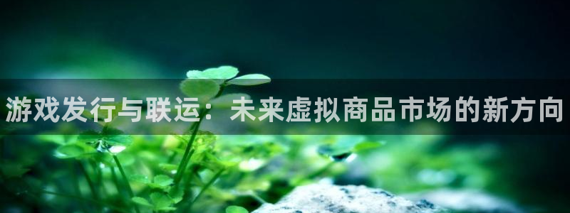 新城平台注册流程图