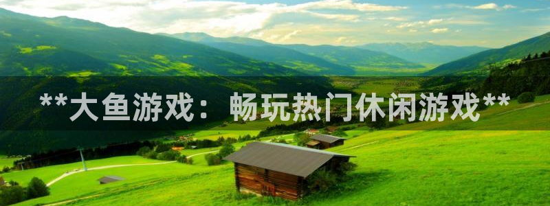 新城平台负责人电话：**大鱼游戏：畅玩热门休闲游戏**