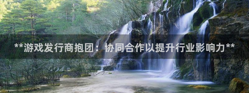 新城平台登录入口网站：**游戏发行商抱团：协同合作以提升行业影响力**