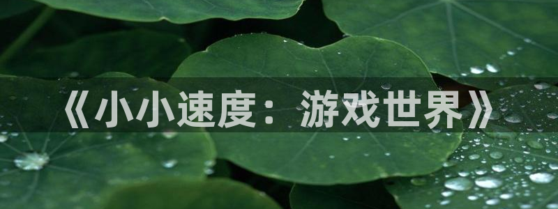 新城平台登录密码忘了：《小小速度：游戏世界》