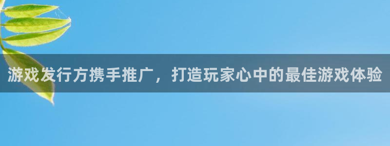 新城平台新注册：游戏发行方携手推广，打造玩家心中的最佳游戏体验