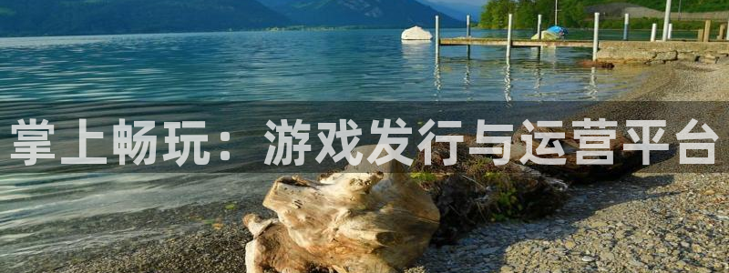 新城平台官网：掌上畅玩：游戏发行与运营平台