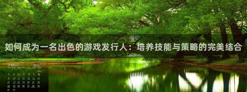 新城平台注册资金多少亿：如何成为一名出色的游戏发行人：培养技能与策略的完美结合