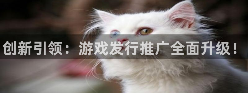 新城平台登录入口官网首页查询：创新引领：游戏发行推广全面升级！