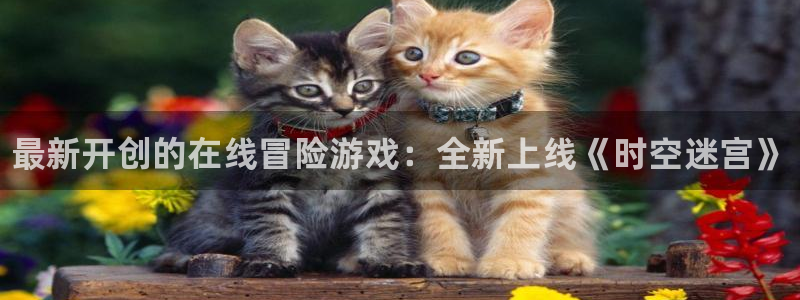 新城平台注册登录地址