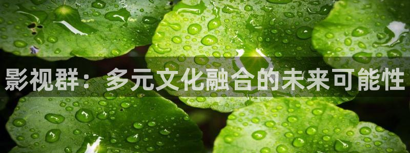 电视剧大全三米影视：影视群：多元文化融合的未来可能性