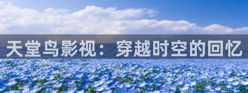 三米影视免费观看全集：天堂鸟影视：穿越时空的回忆